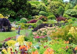 Hilary’s dream garden of flowers and veggies galore
