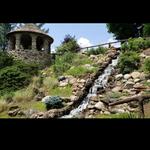 Slayton Arboretum