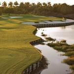 Hammock Bay Golf Course