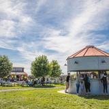Shady Brook Farm
