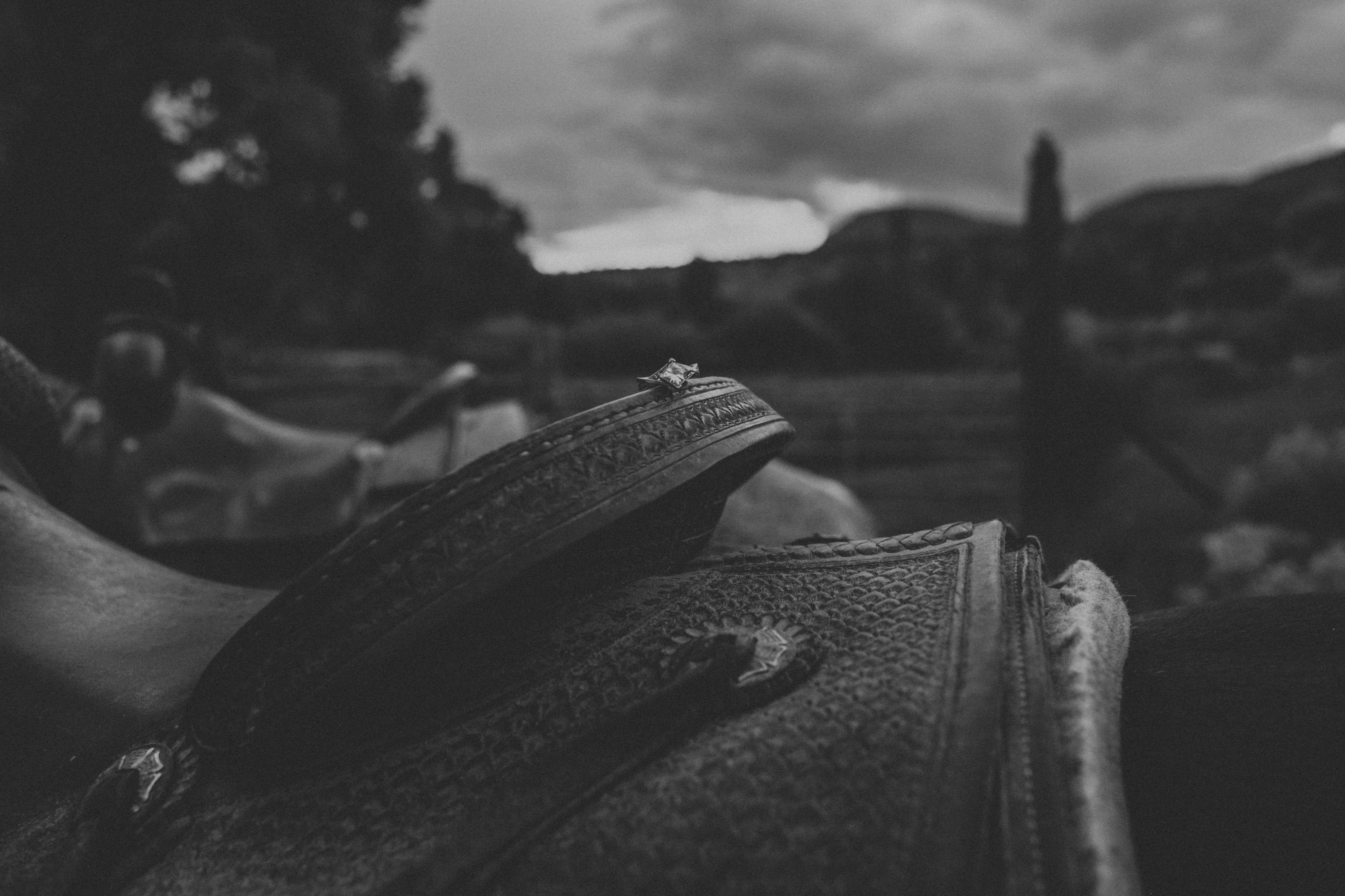 The Wedding Website of Chasey Blach and Bradley Ferguson