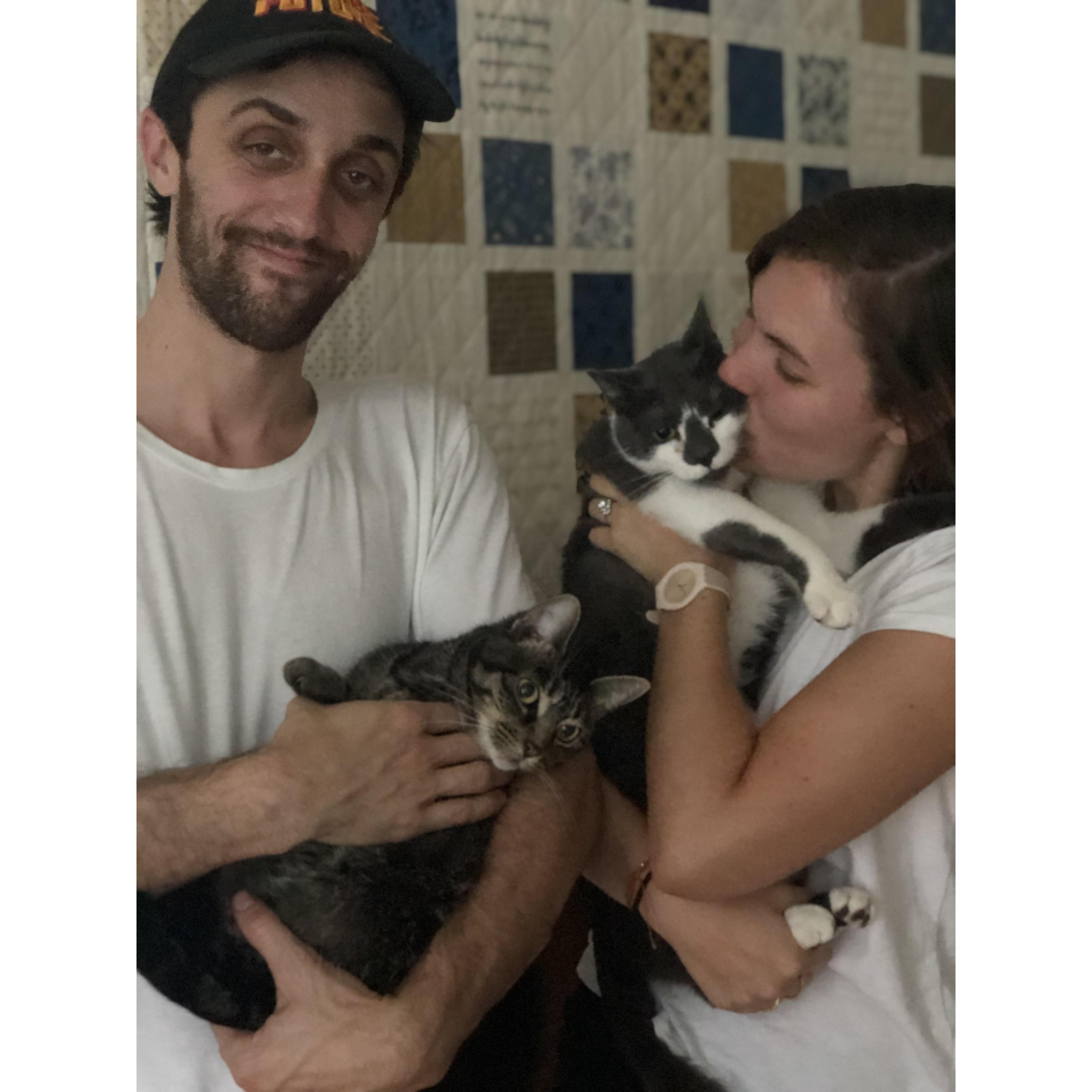 August 2019 with the cats