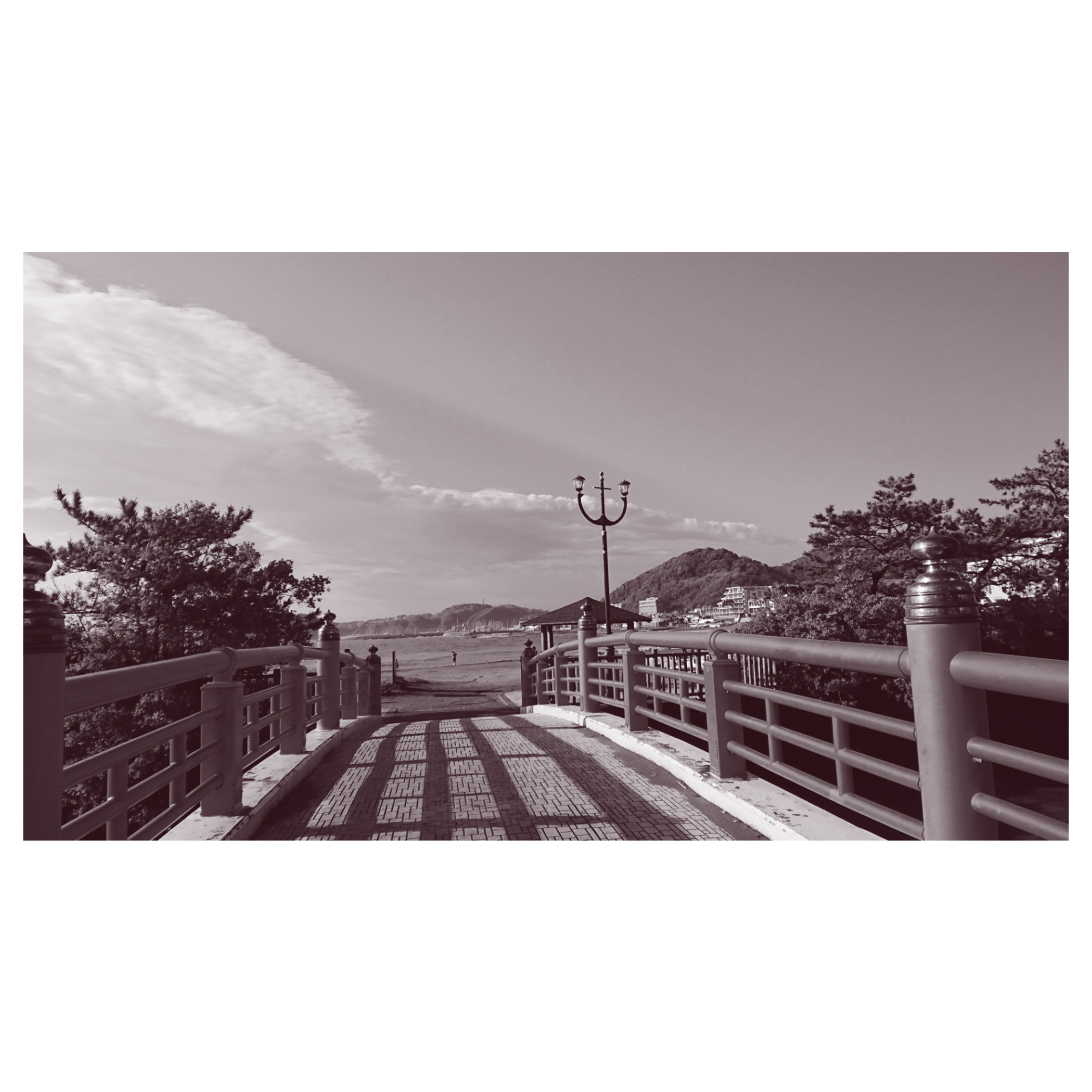 The Wedding Website of Yukina Matsumoto and Jam Lopes