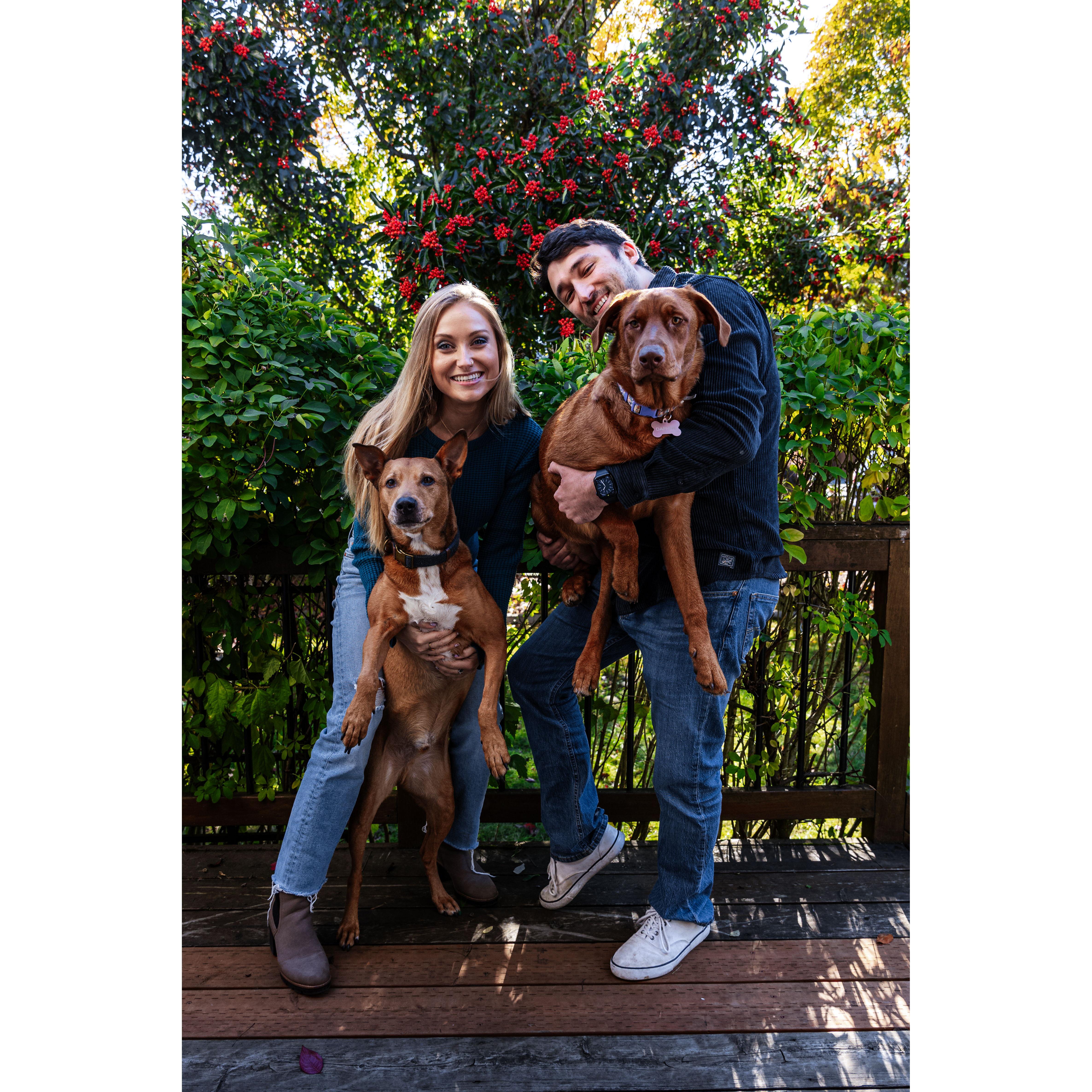 One of our many family photos that Danny's brother, Matt, takes for us every year