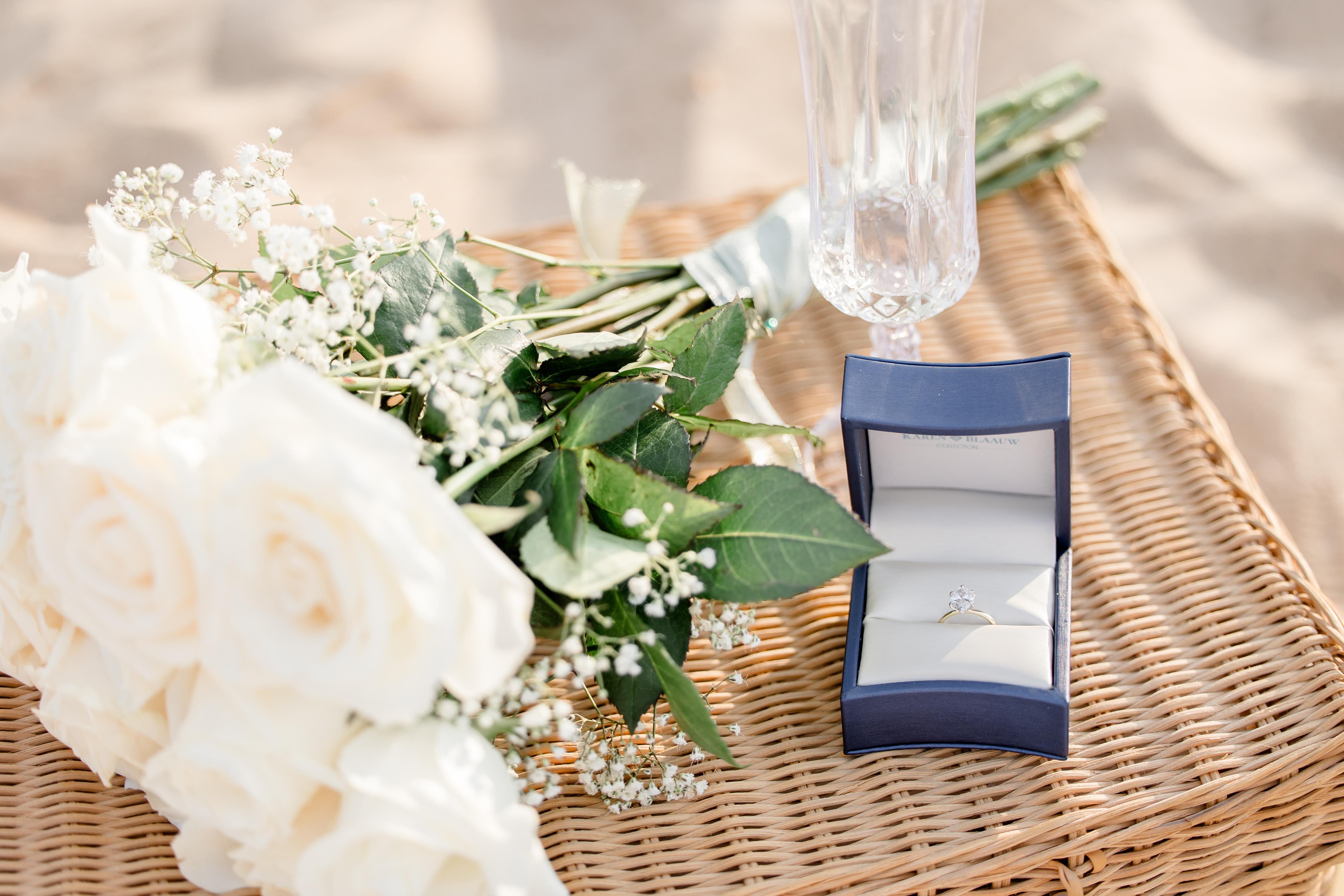 The Wedding Website of Tyler Buwalda and Lauren Rosier