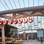The Domain