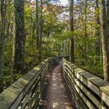 First Landing State Park