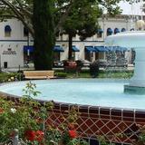 Old Towne Orange Circle