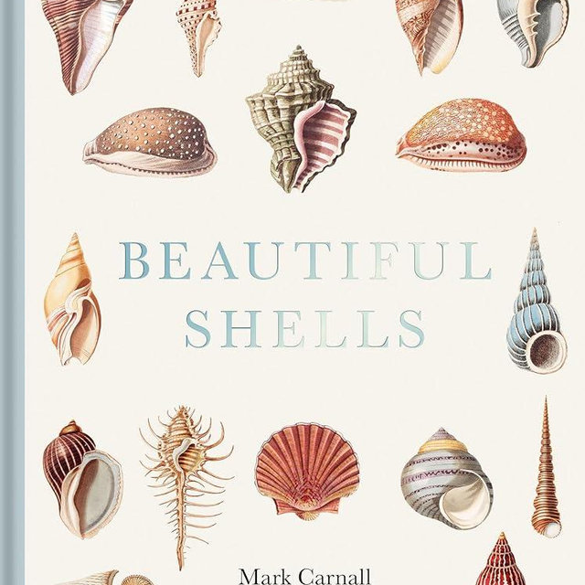 Beautiful Shells: George Perry's Conchology