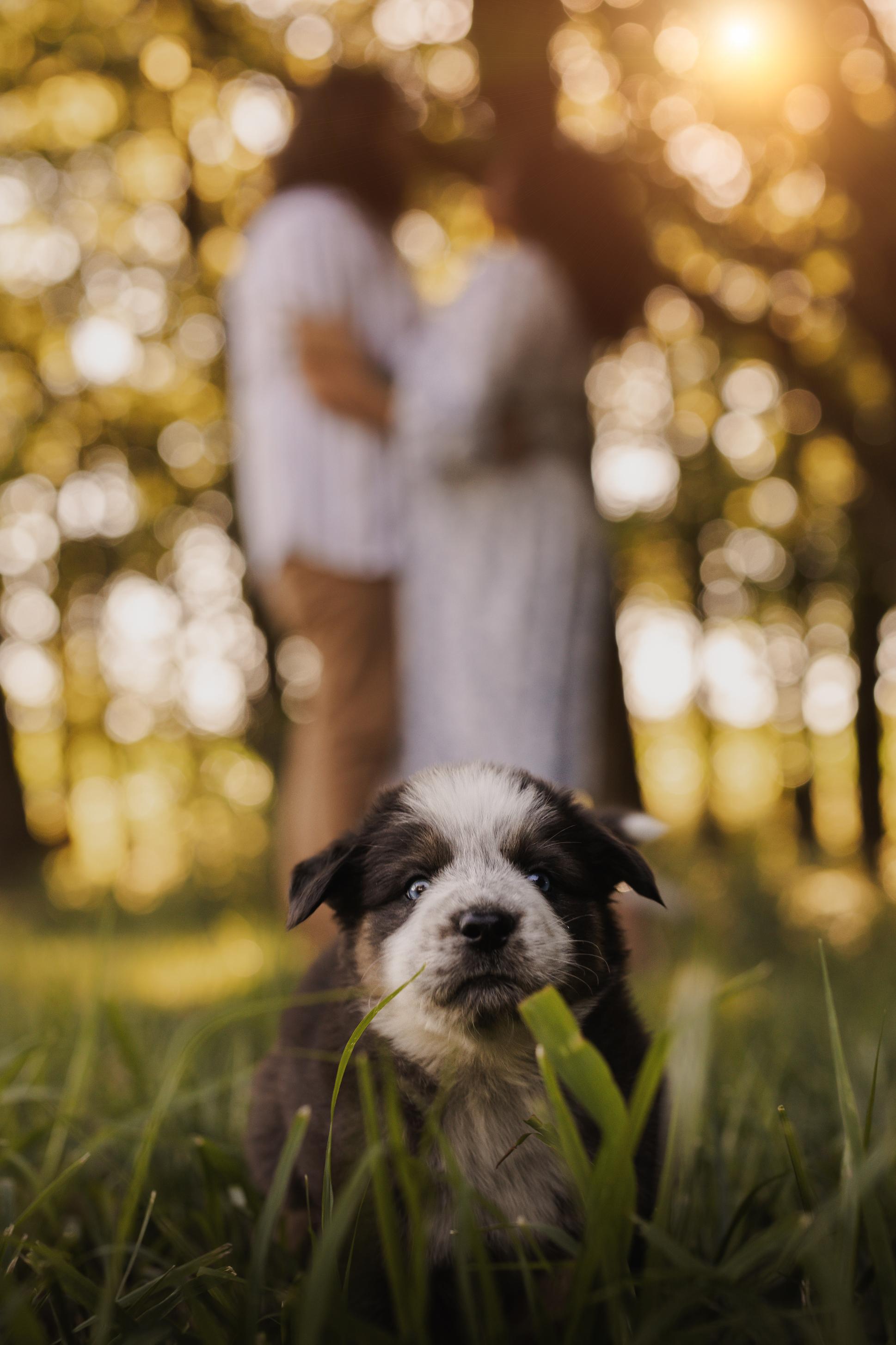 The Wedding Website of Aleiyah Garrett and Jeffery Skiles