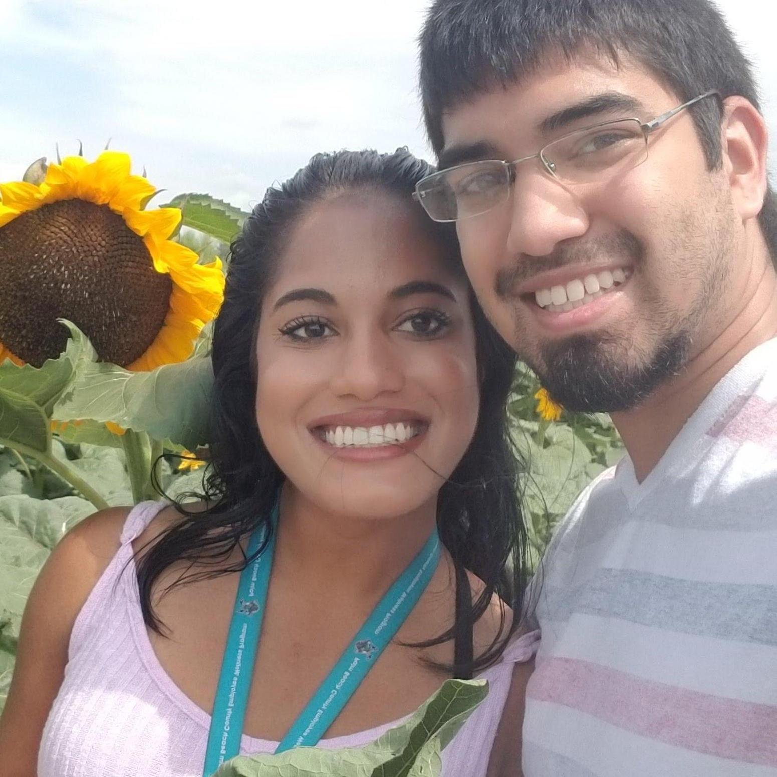 Sunflowers
