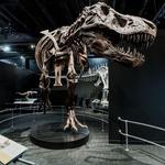 Center of Science and Industry (COSI)