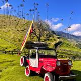 Valle del Cocora