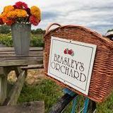 Beasley's Orchard