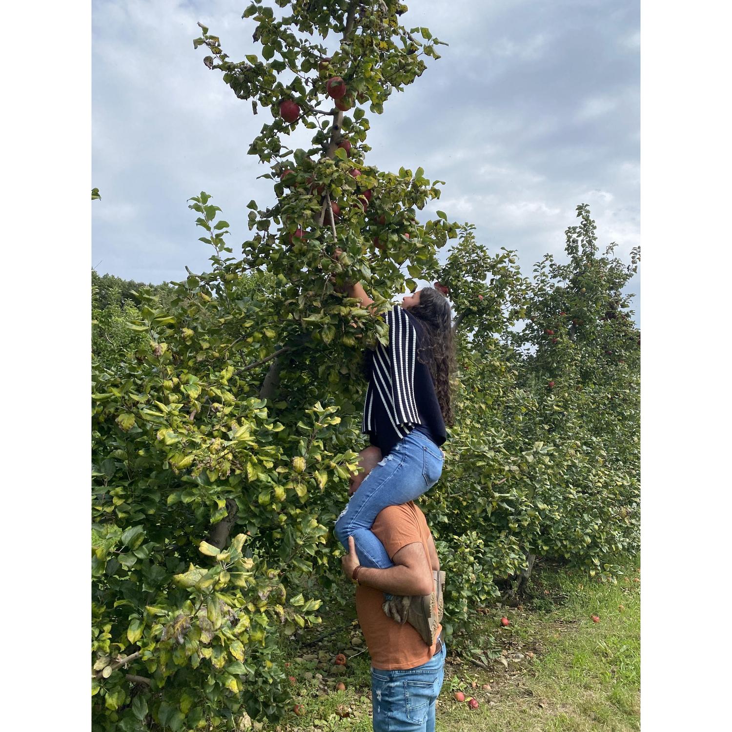 We love Apple Picking