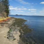 Mackworth Island State Park