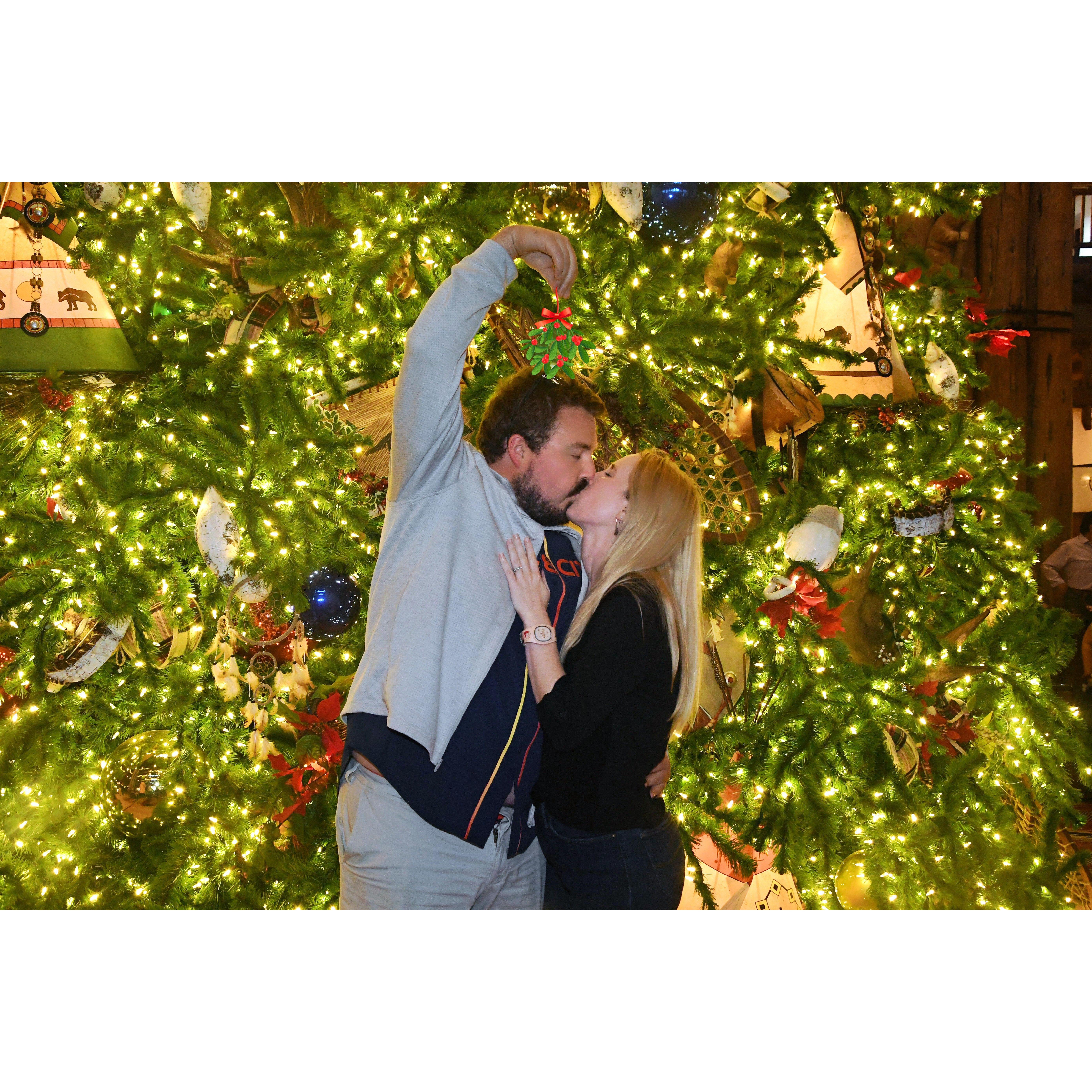 2024 - Disney Christmas, under the mistletoe!
