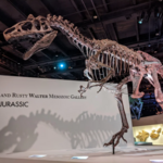 Houston Museum of Natural Science
