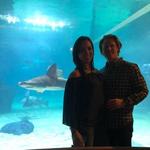 Greater Cleveland Aquarium