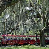 City Park