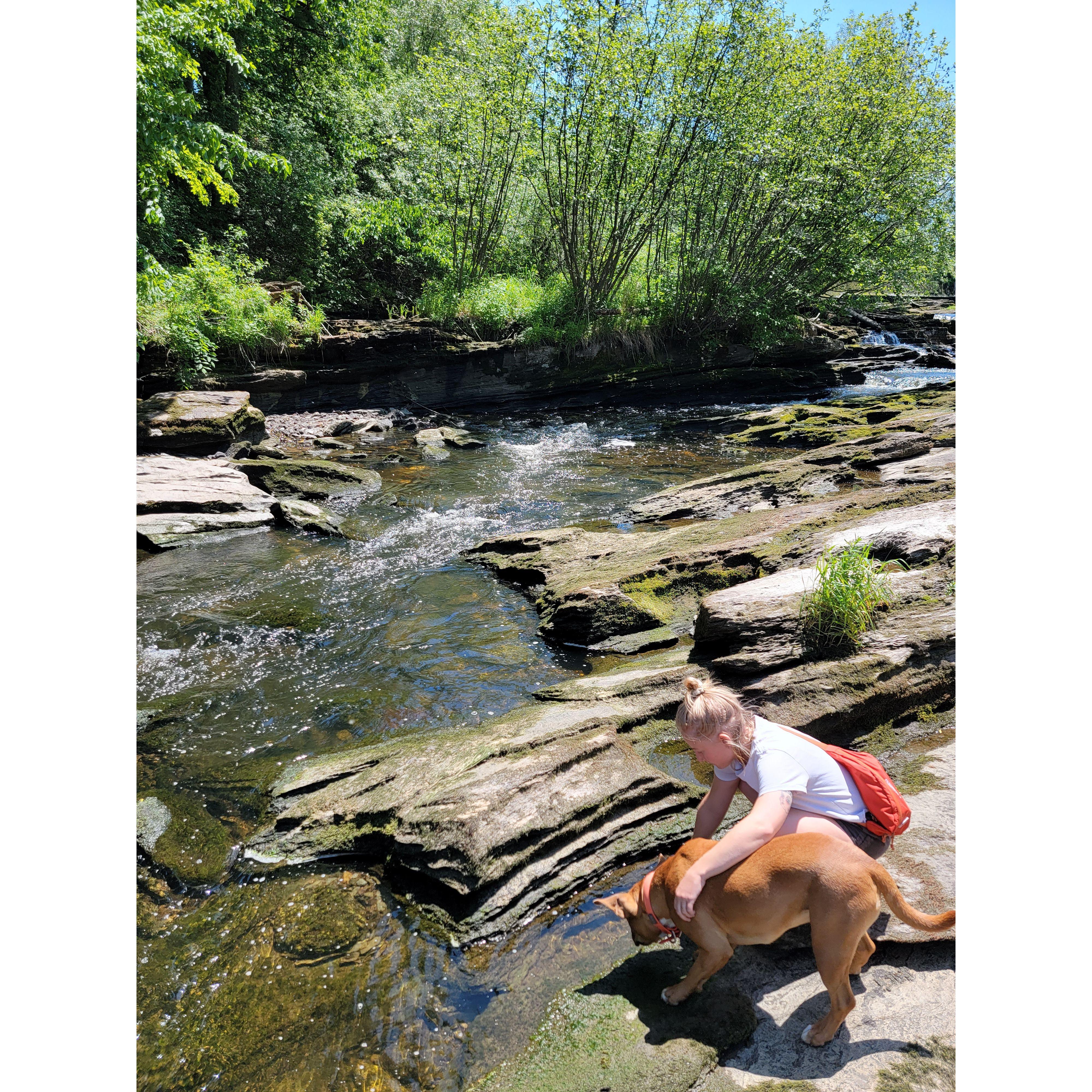 Otter Creek in Weybridge