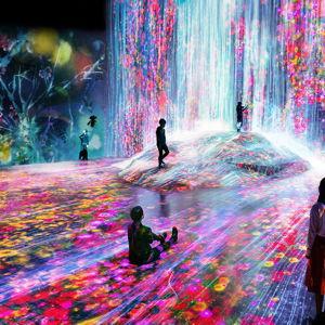 Tokyo Museum Tickets For Two