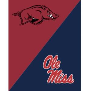 College House Divided Garden Flag Banner