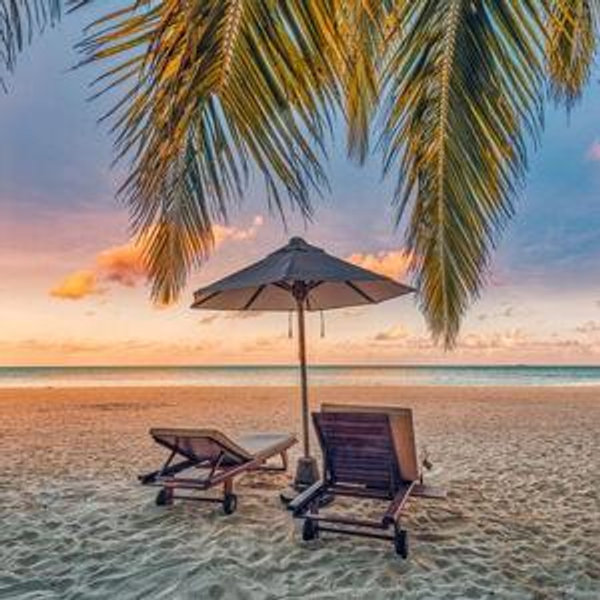 Honeymoon Fund