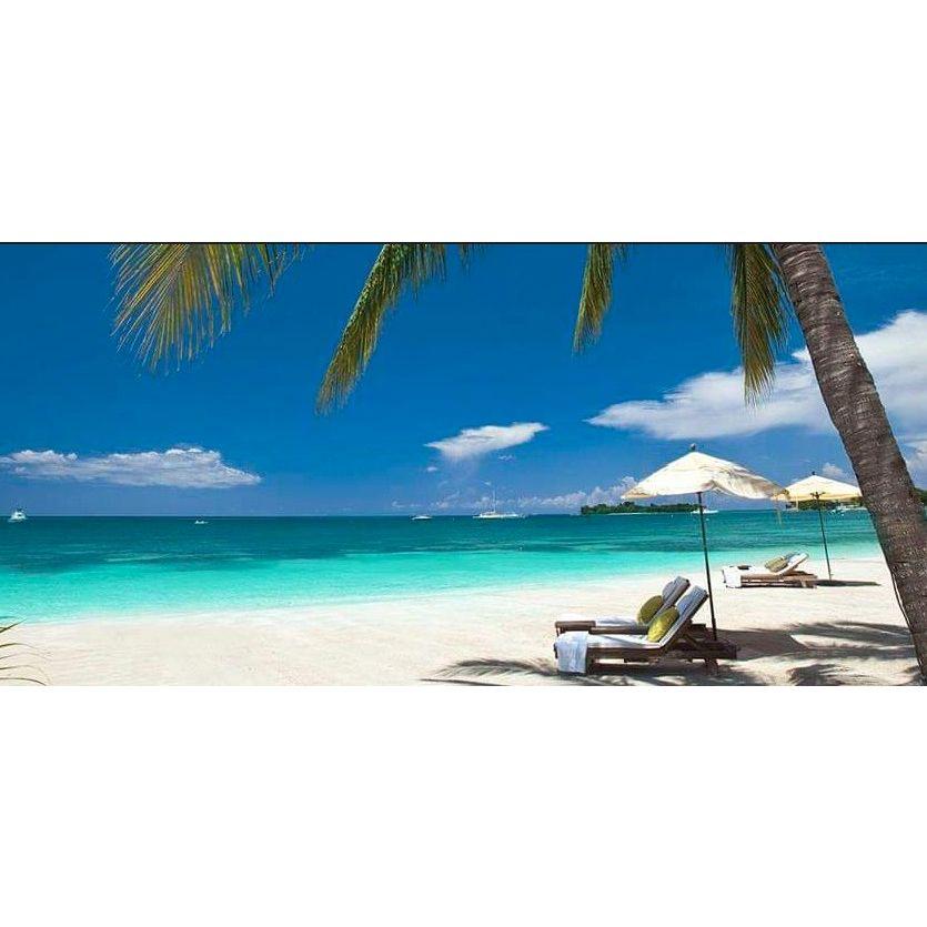 Palm trees above, sand below, and paradise all around