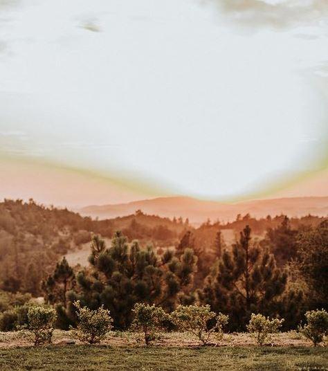 The Wedding Website of Alyson Bates and Neel Sutton