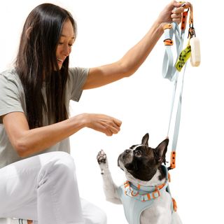 Luna Large 6-in-1 Waterproof Hands-Free Leash & Collar
