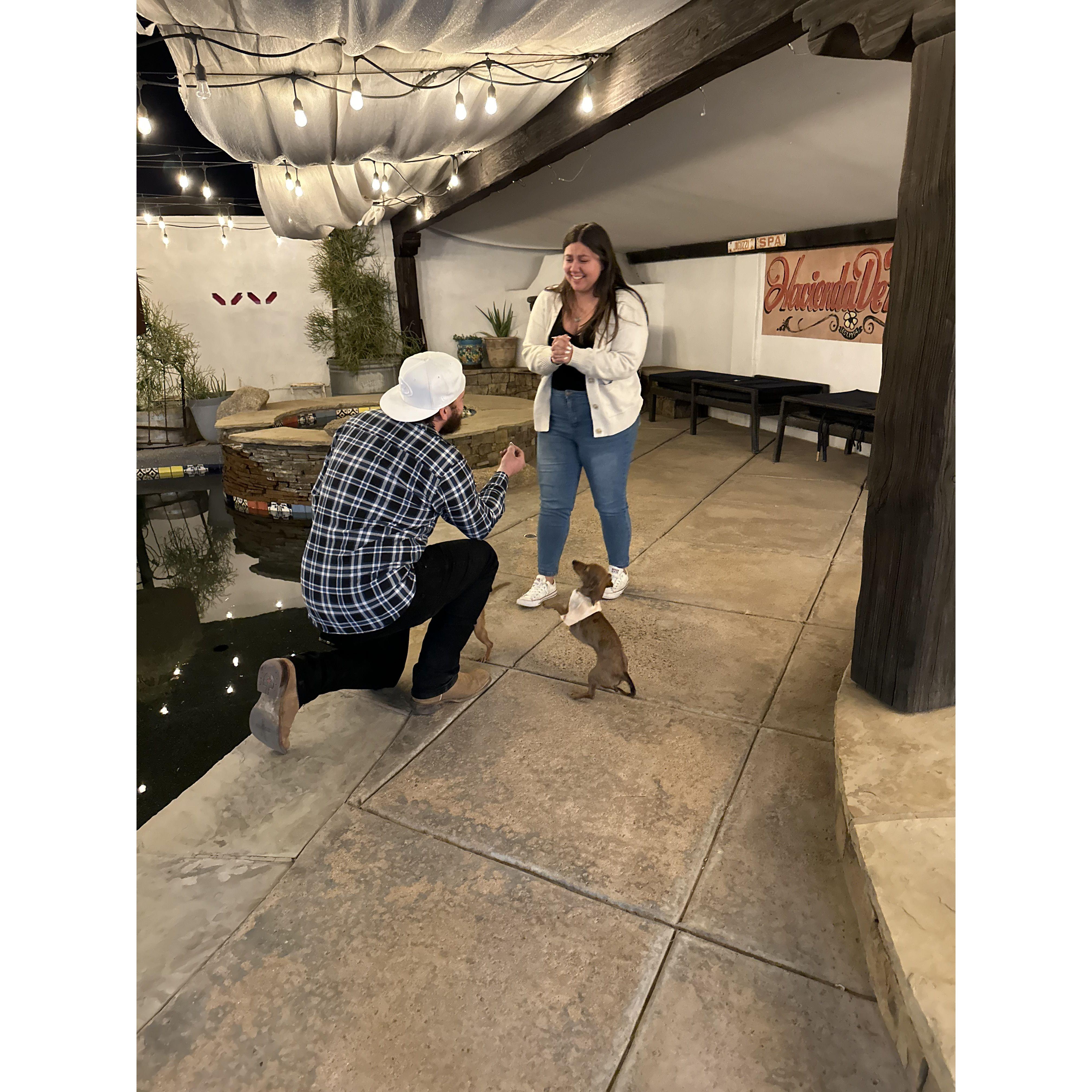 Who's more excited? Maple or Megs.