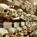 The Mütter Museum at The College of Physicians of Philadelphia