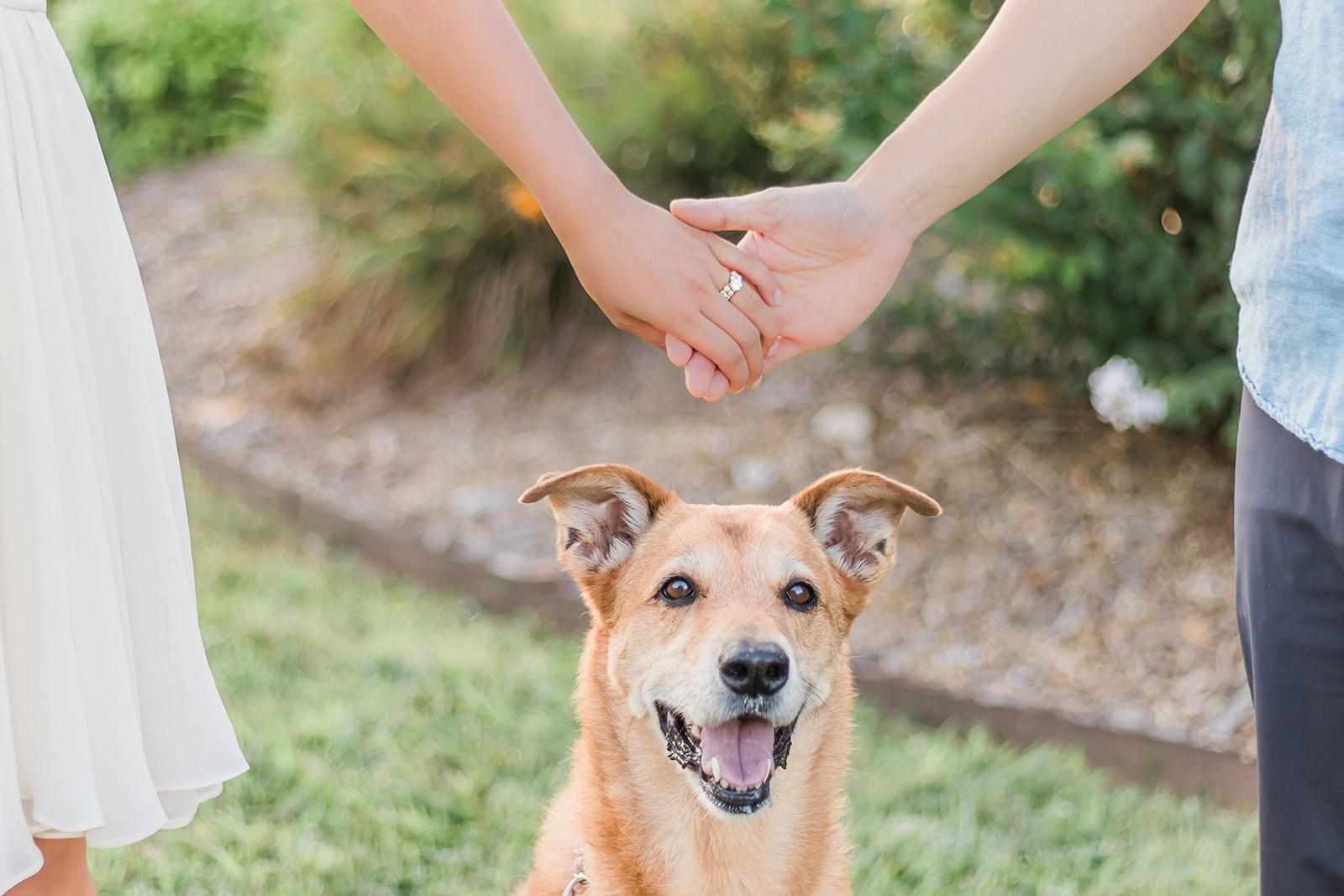 e1781604-5991-4af6-918e-13727780dfd4