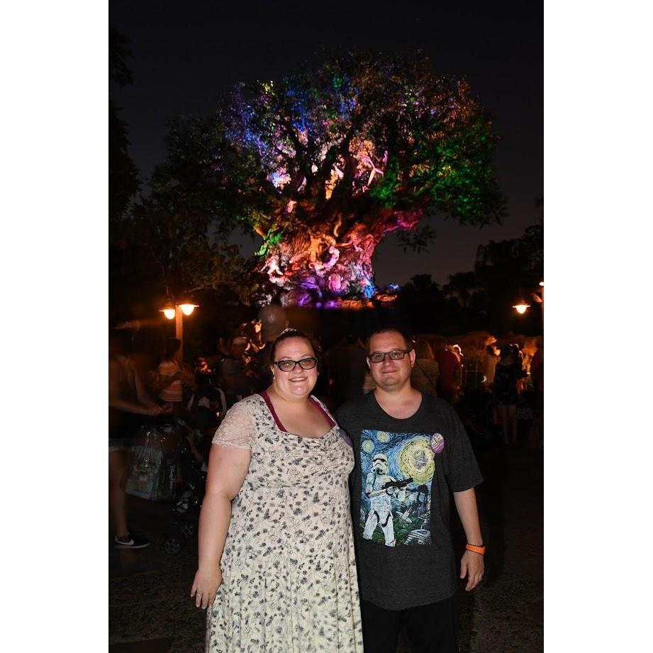 Tree of life