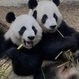 Zoo Atlanta