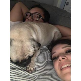 Phoebe likes to snuggle in between us, ALL THE TIME