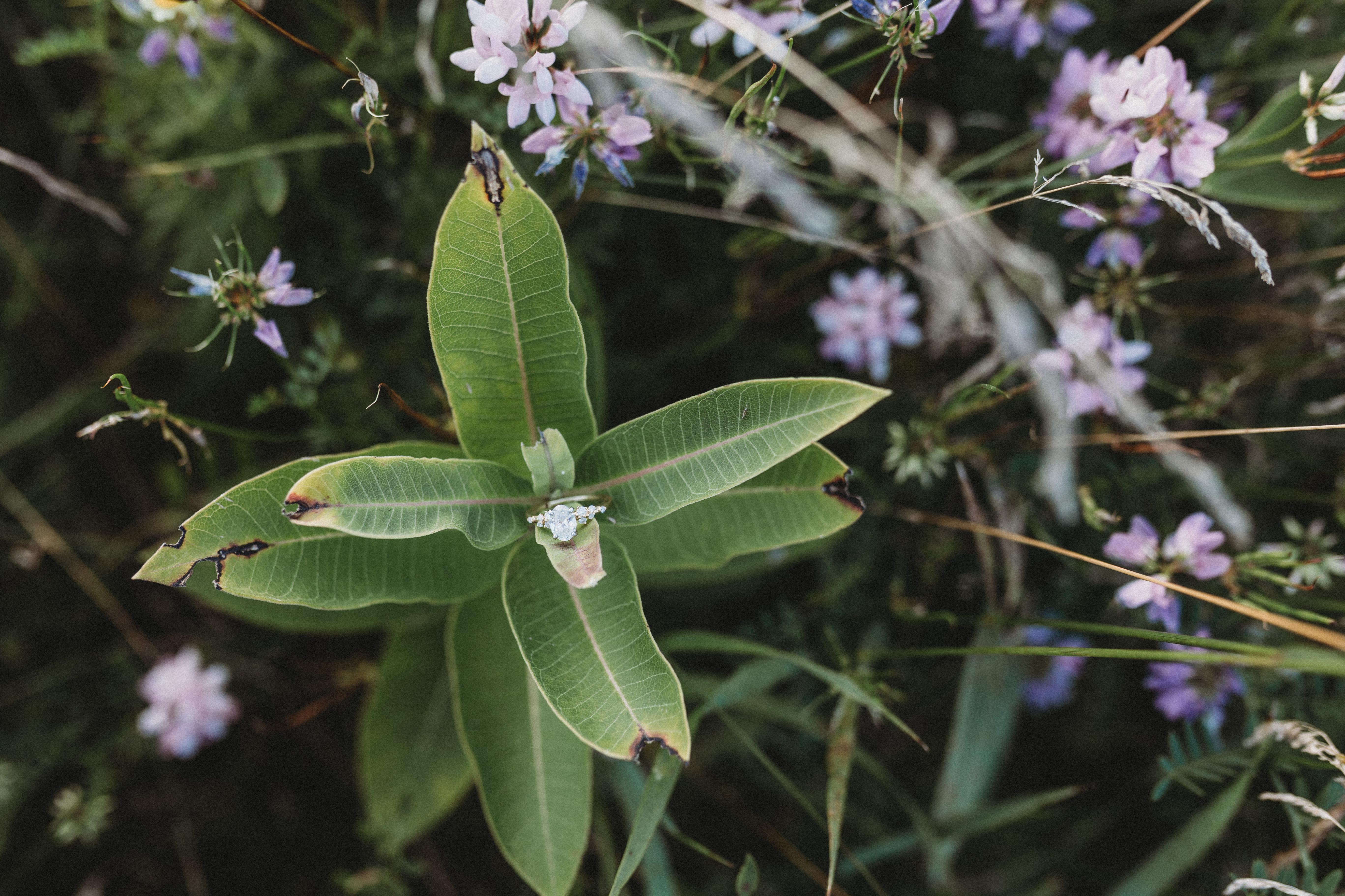 The Wedding Website of Katie Krawczyk and Hunter Cowin