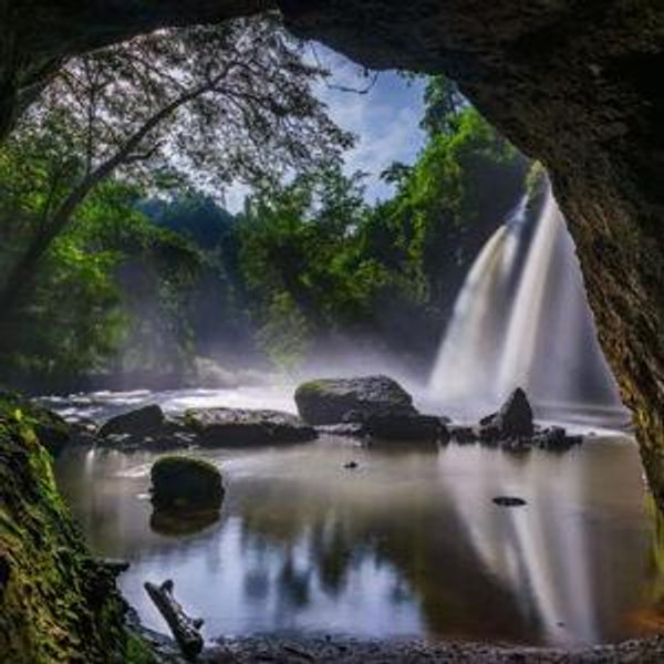 Guided Wildlife Tour at Khao Yai National Park for 2