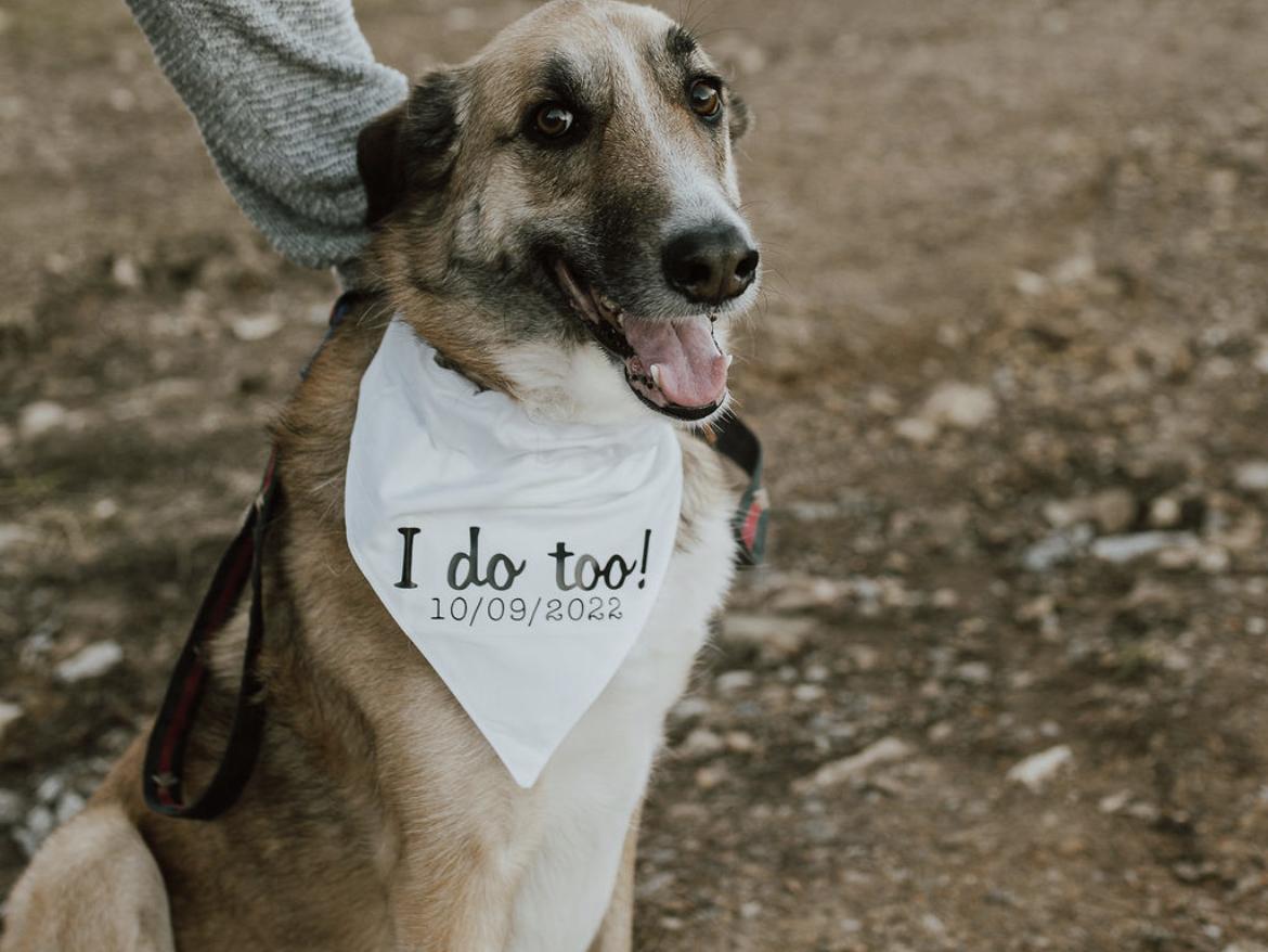 The Wedding Website of Lauren Lieberman and Diyon Clark