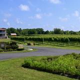 Willow Creek Winery & Farm
