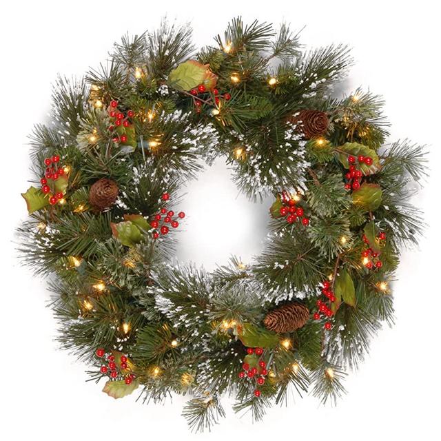 National Tree 24 Inch Wintry Pine Wreath with Clear Lights (WP1-300-24W-1)