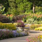 Cheekwood