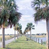 Pitt Street Bridge