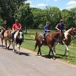 Coldwater Lake Stable