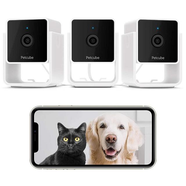 Petcube [New 2020] Cam Pet Monitoring Camera with Built-in Vet Chat for Cats & Dogs, Security Camera with 1080p HD Video, Night Vision, Two-Way Audio, Magnet Mounting for Entire Home Surveillance