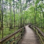 Congaree National Park