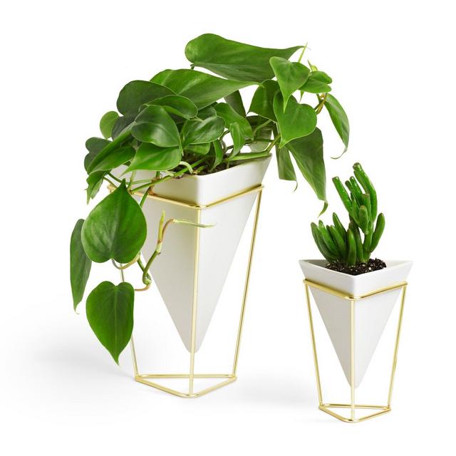 Trigg 2 Pieces Table Vase Set