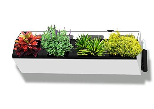 BloomWall Vertical Wall Garden Planter