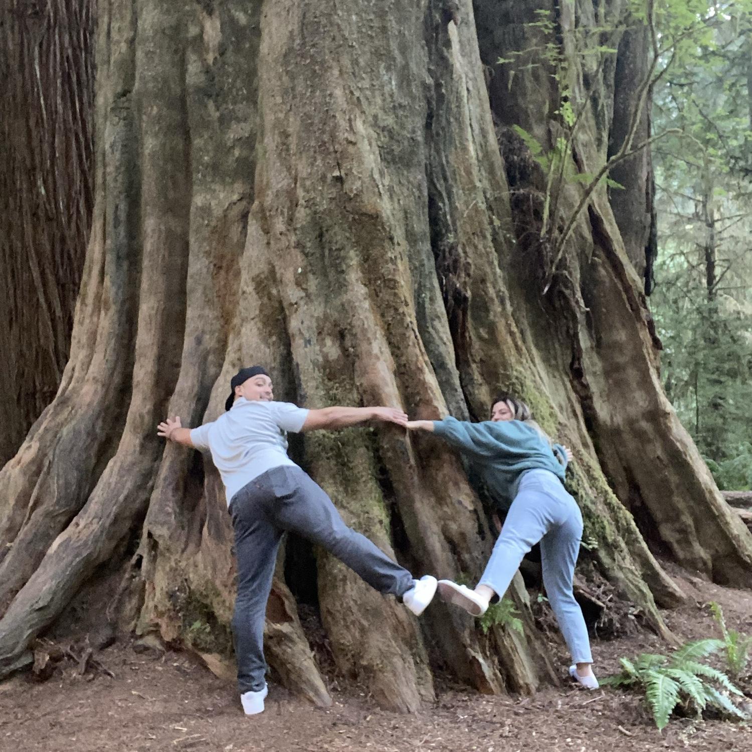 Redwoods National Park